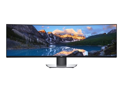 49" Dell UltraSharp U4919DW - LCD-Monitor gebogen - Dual Quad-HD-Auflösung (5.120 x 1.440)